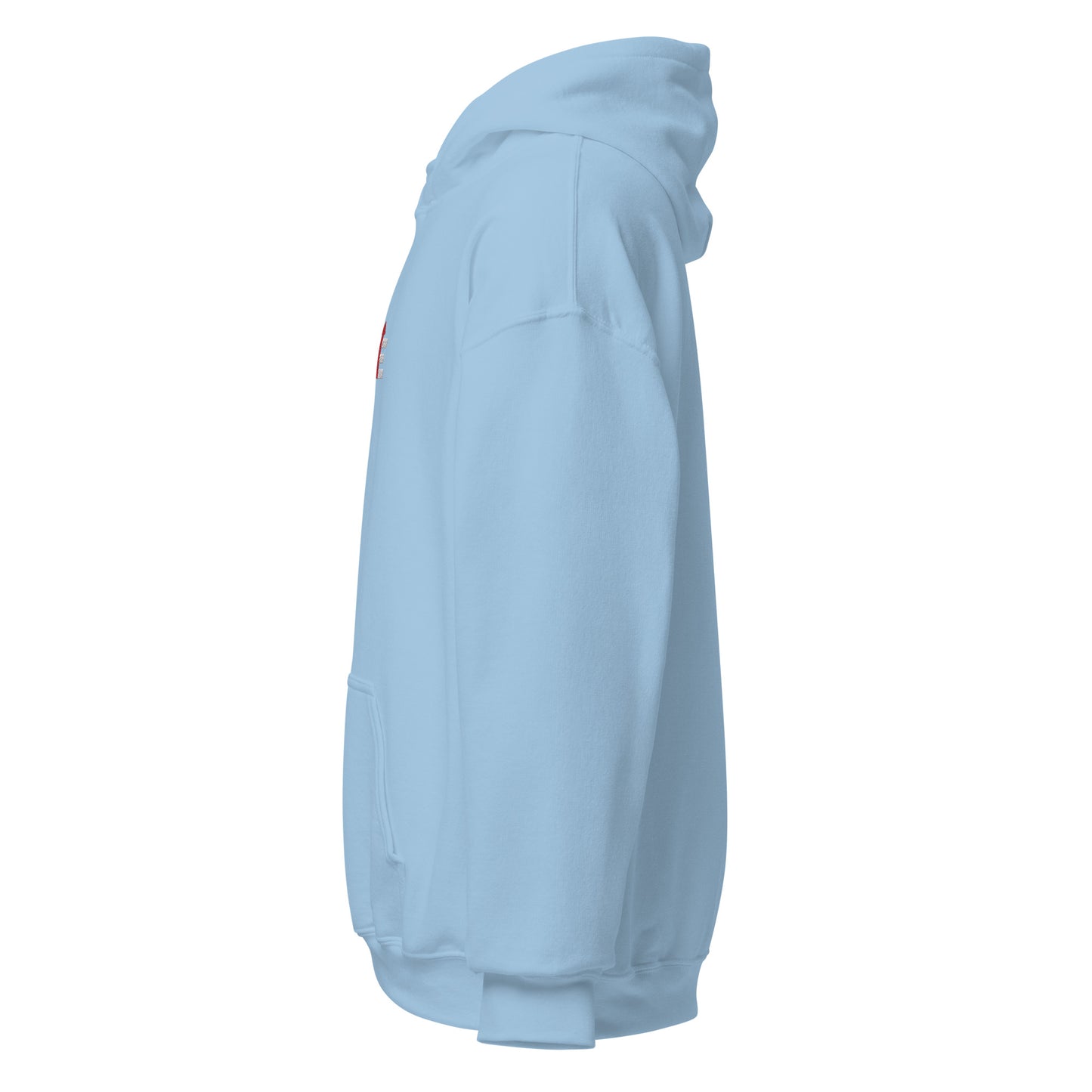 SSE Hoodie!