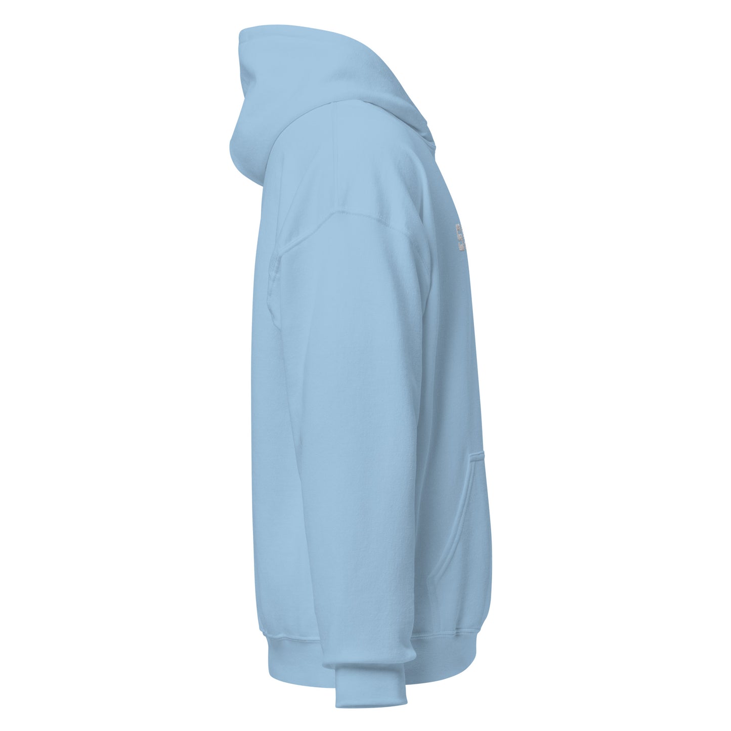 SSE Hoodie!
